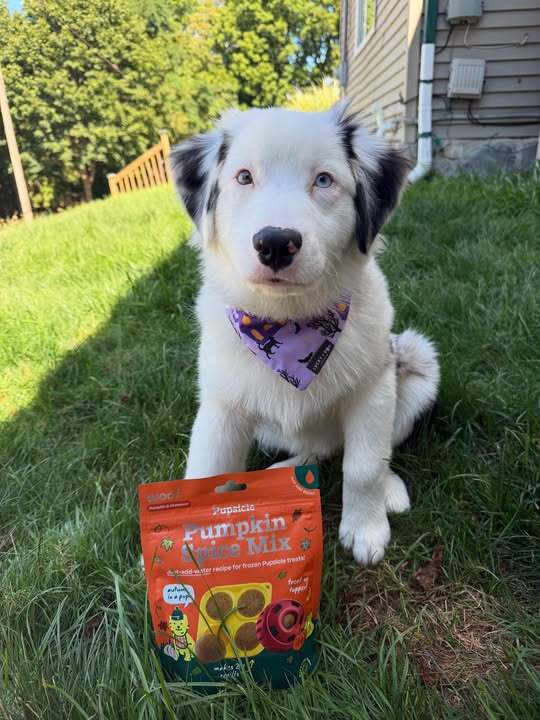 Furry Fright - Bandana