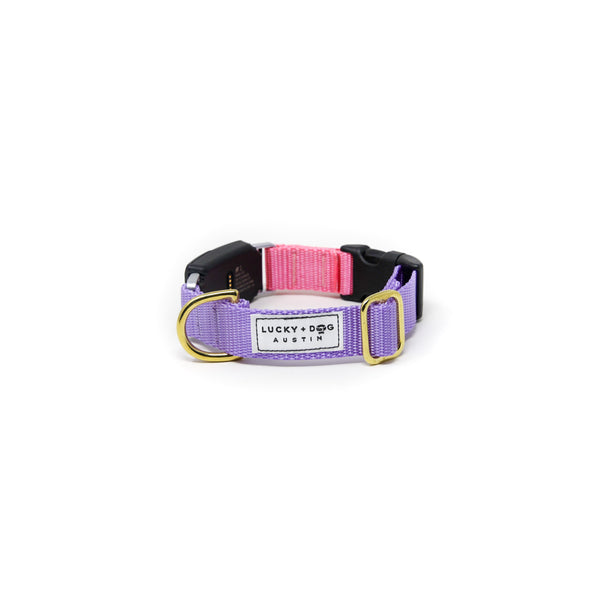 Fi Collar Band - Mix & Match  Fi Collar Band - Mix & Match
