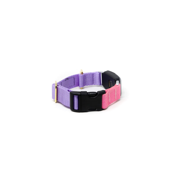 Fi Collar Band - Mix & Match  Fi Collar Band - Mix & Match