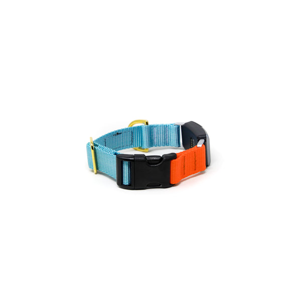 Fi Collar Band - Mix & Match  Fi Collar Band - Mix & Match