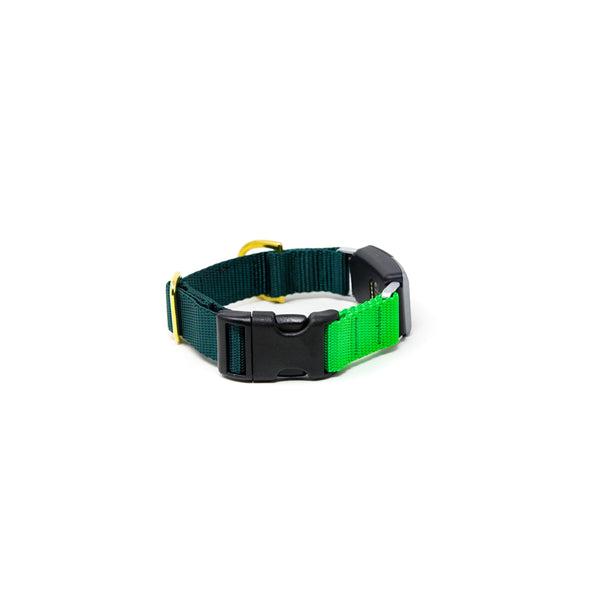 Fi Collar Band - Mix & Match  Fi Collar Band - Mix & Match