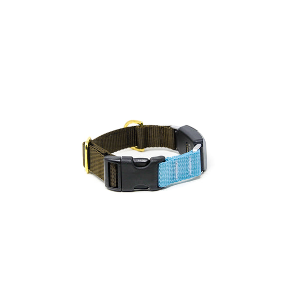 Fi Collar Band - Mix & Match  Fi Collar Band - Mix & Match