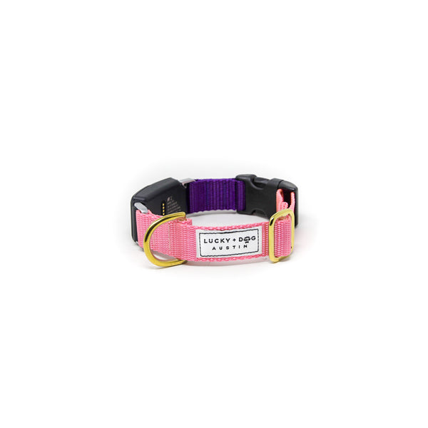 Fi Collar Band - Mix & Match  Fi Collar Band - Mix & Match