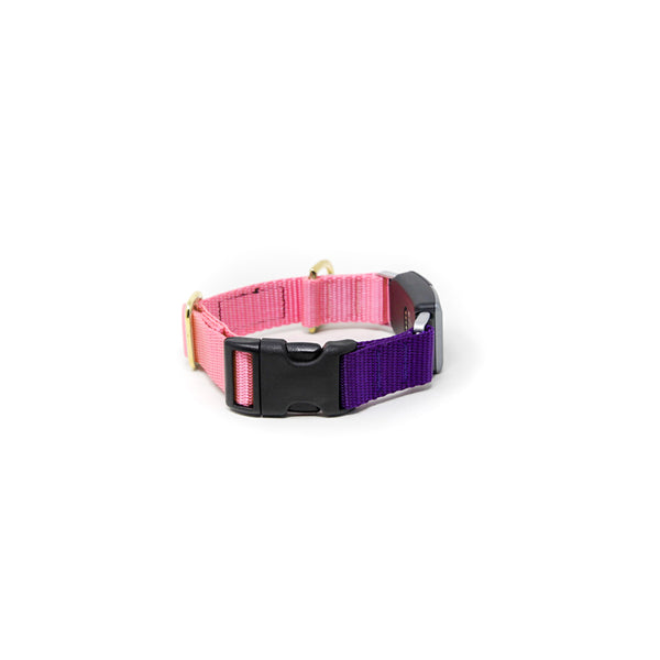 Fi Collar Band - Mix & Match  Fi Collar Band - Mix & Match