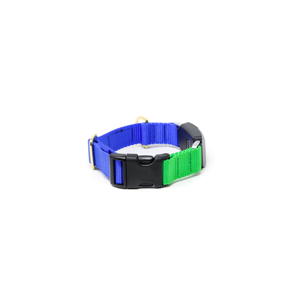Fi Collar Band - Mix & Match  Fi Collar Band - Mix & Match