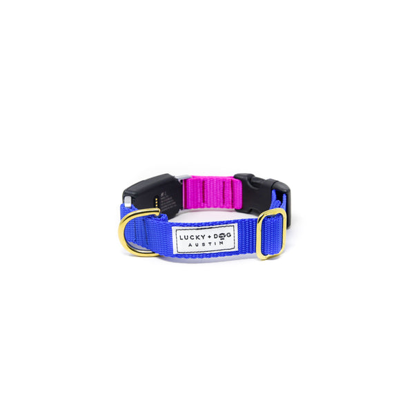 Fi Collar Band - Mix & Match  Fi Collar Band - Mix & Match