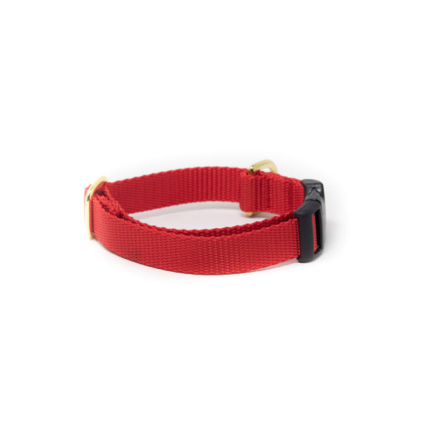 Small Dog Activewear Collar - Bright Red