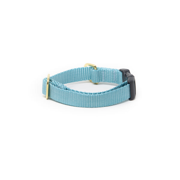 Small Dog Activewear - Baby Blue Small Dog Activewear - Baby Blue