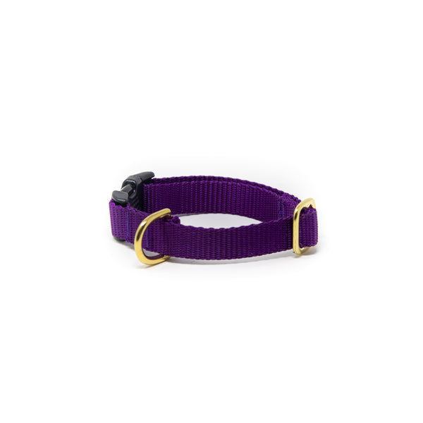 Small Dog Activewear - Purple Small Dog Activewear - Purple