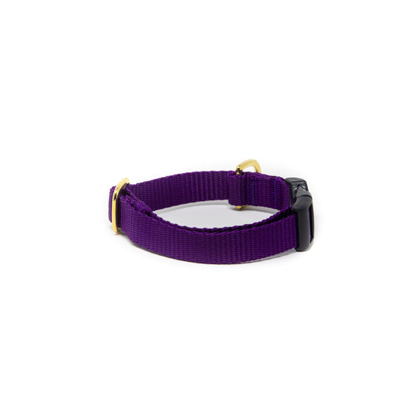 Small Dog Activewear  - Purple  Small Dog Activewear  - Purple