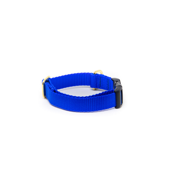 Small Dog Activewear - Royal Blue
