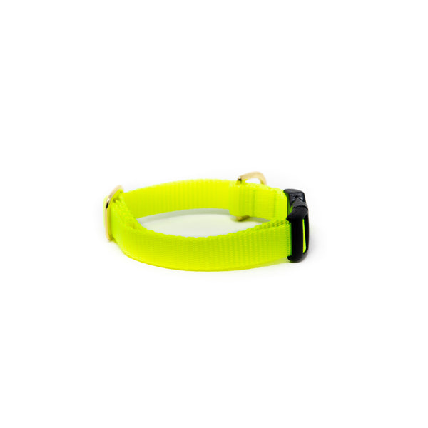 Small Dog Activewear - Bright Yellow