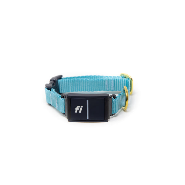 Small Dog Activewear Fi - Baby Blue