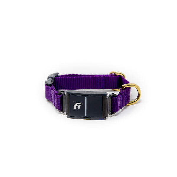 Small Dog Activewear Fi Collar - Purple