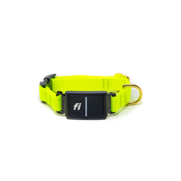 Small Dog Activewear Fi - Bright Yellow Small Dog Activewear Fi - Bright Yellow