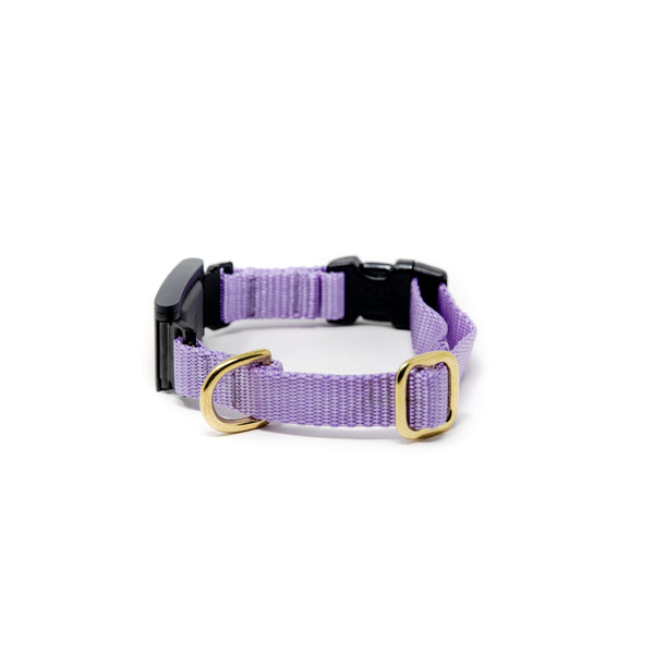 Small Dog Activewear Fi - Lavender Small Dog Activewear Fi - Lavender