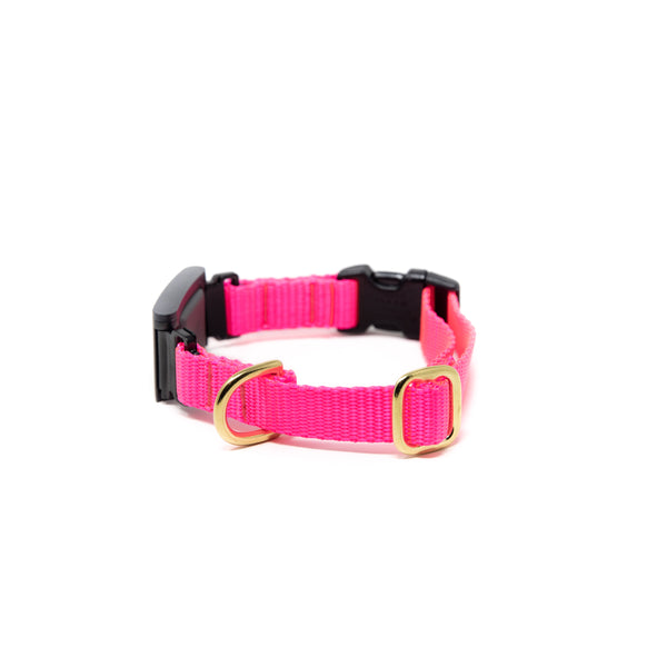 Small Dog Activewear Fi - Hot Pink Small Dog Activewear Fi - Hot Pink