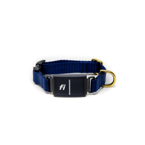 Small Dog Activewear Fi - Navy Blue Small Dog Activewear Fi - Navy Blue