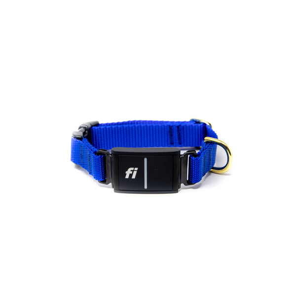 Small Dog Activewear Fi - Royal Blue Small Dog Activewear Fi - Royal Blue