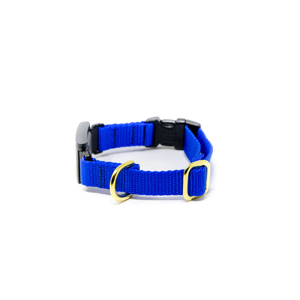 Small Dog Activewear Fi - Royal Blue Small Dog Activewear Fi - Royal Blue
