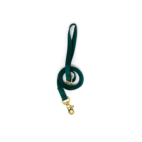 Small Dog Activewear - Forest Green Small Dog Activewear - Forest Green