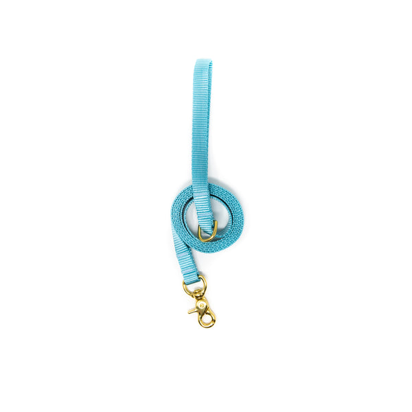 Small Dog Activewear - Baby Blue Small Dog Activewear - Baby Blue