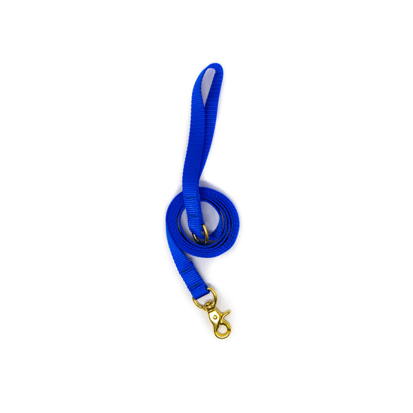 6 Ft Leash Small Dog - Royal Blue 6 Ft Leash Small Dog - Royal Blue