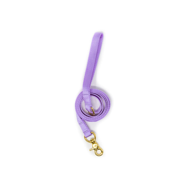 6 Ft Leash Small Dog - Lavender 6 Ft Leash Small Dog - Lavender