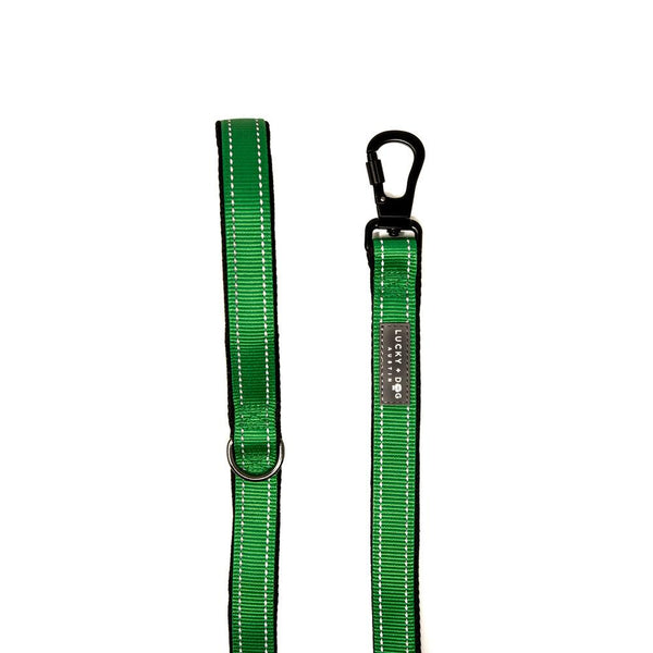 Harness Leash - Green