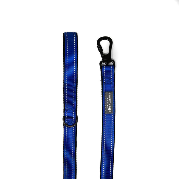 Harness Leash - Blue Harness Leash - Blue