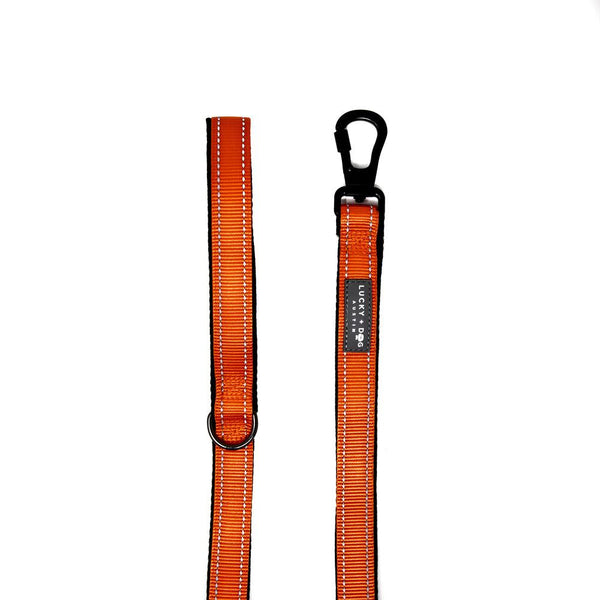 Quick-Fit No-Pull Harness - Orange