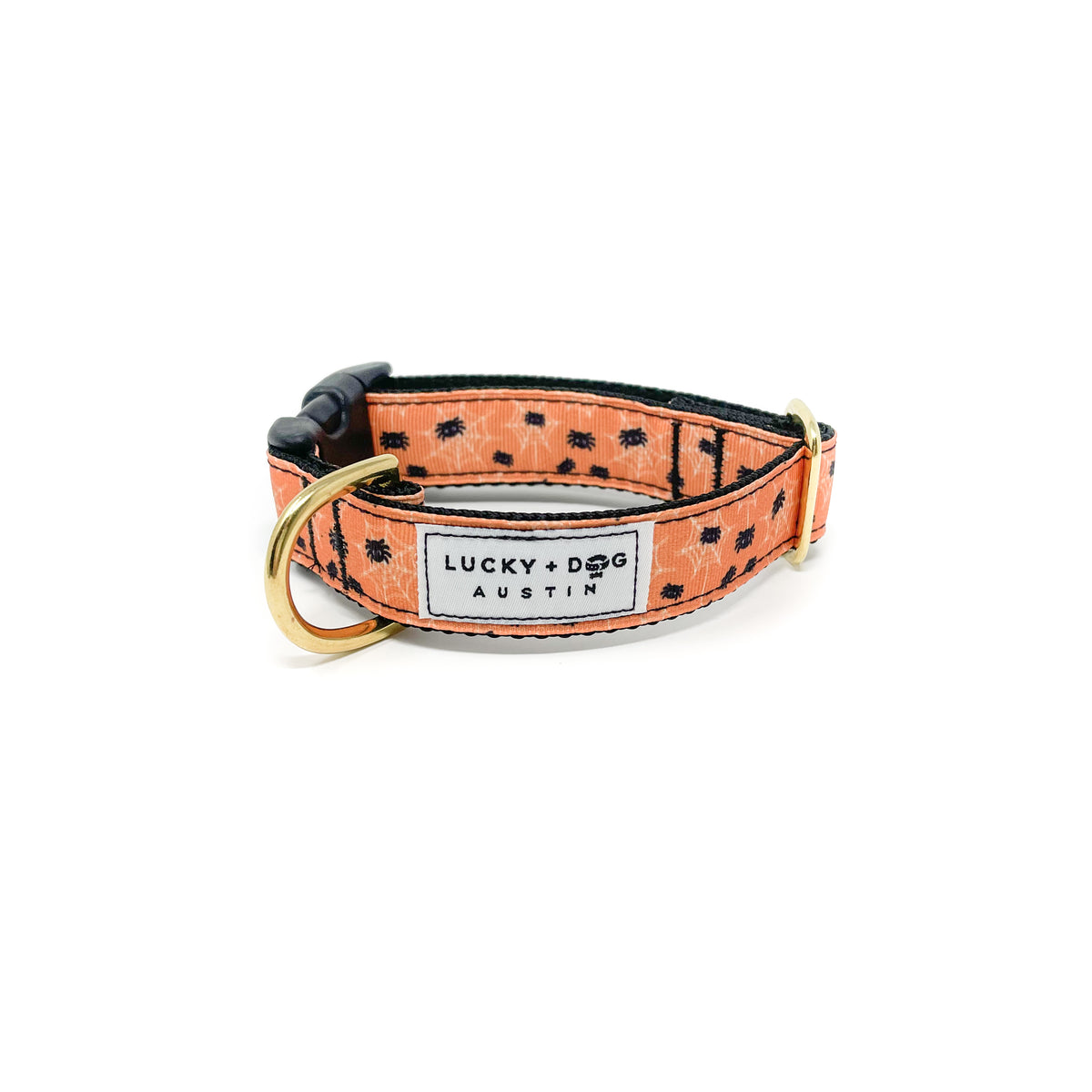 Itsy Bitsy Activewear Collars LUCKY + DOG AUSTIN
