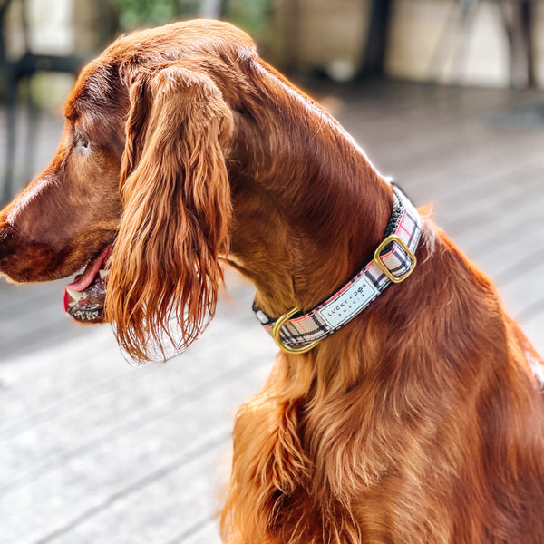 Activewear - London Furberry  Activewear - London Furberry