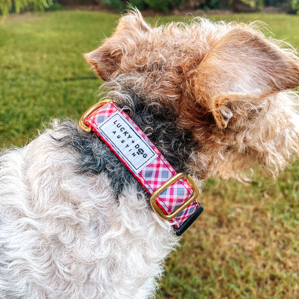 Fi Collar Band - Orchard Fi Collar Band - Orchard