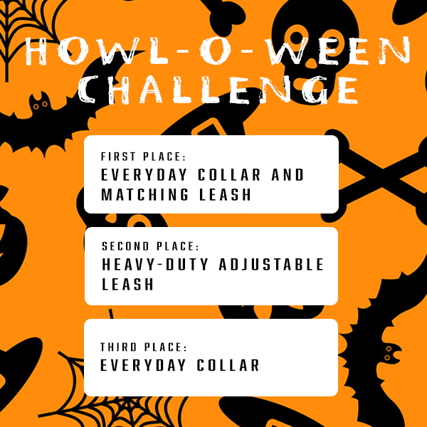 Howl-🎃-ween Giveaway!