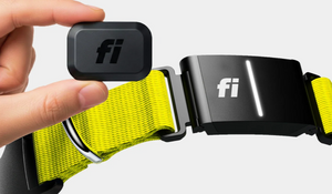Fi GPS Trackers Have Arrived