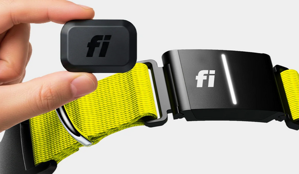 Fi GPS Trackers Have Arrived