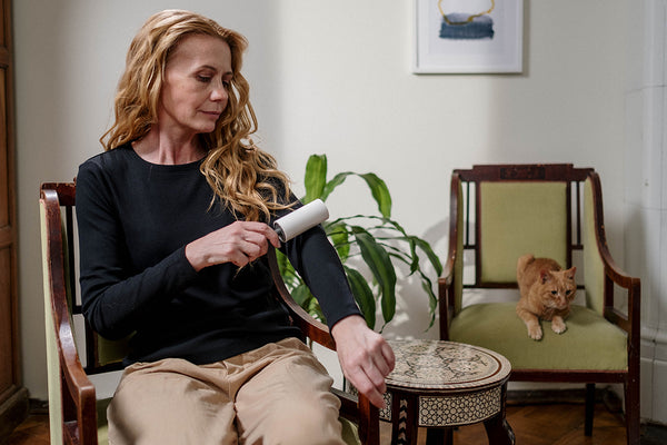 10 tips to help reduce pet allergies in the home