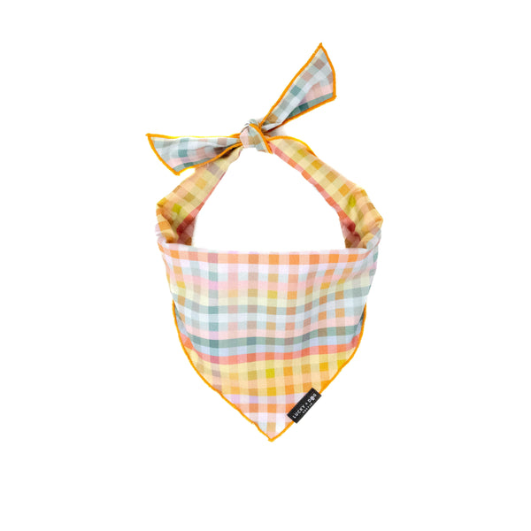 Brunch Buddy - Bandana
