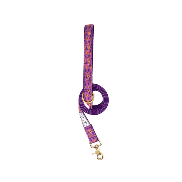 Activewear Fi Collars - Purple Potion