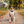 Fi Collar Band - Fall Harvest