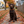 Activewear - Pumpkin Pup