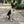 Small Dog Activewear - Bright Yellow