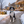 Activewear - Frosty Paws