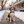 Activewear - Yuletide Check