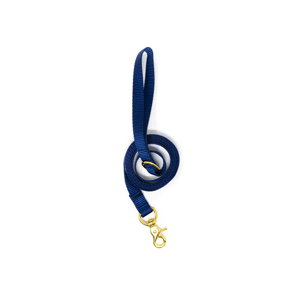6 Ft Leash Small Dog - Navy Blue