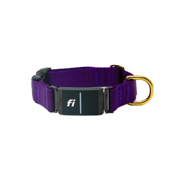Activewear Fi Collar - Purple