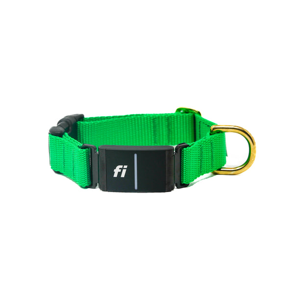 Fi Collar Band - Bright Green