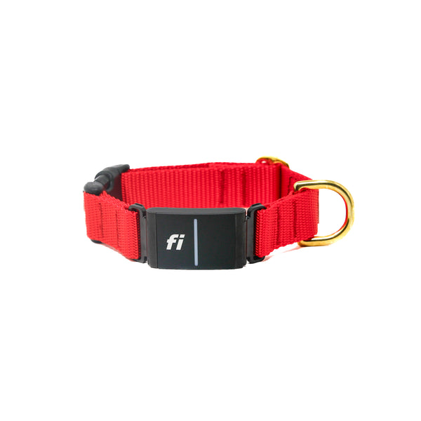 Activewear Fi Collar - Bright Red