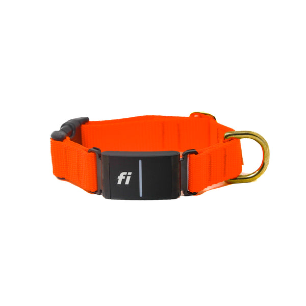 Activewear Fi Collar - Neon Orange